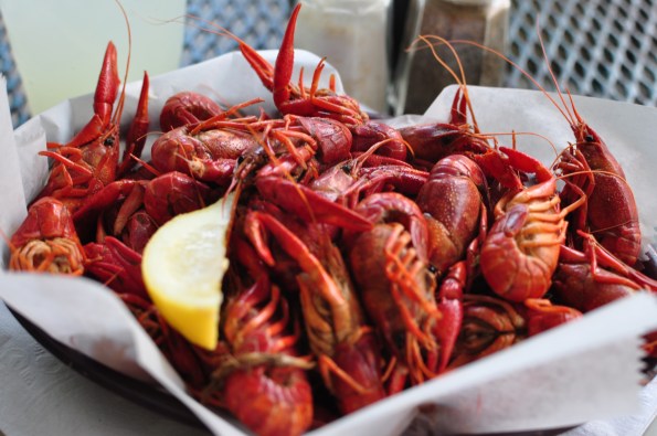 Crawfish